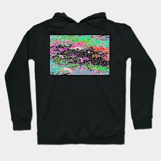 Cosmos #002 Hoodie